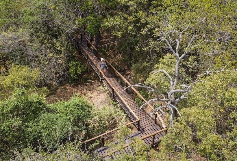 ホテル Panzi Lodge