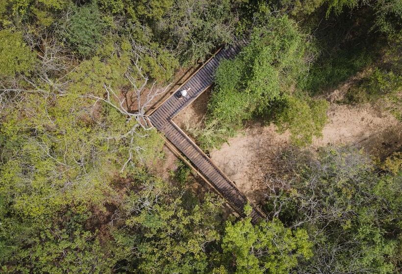 ホテル Panzi Lodge