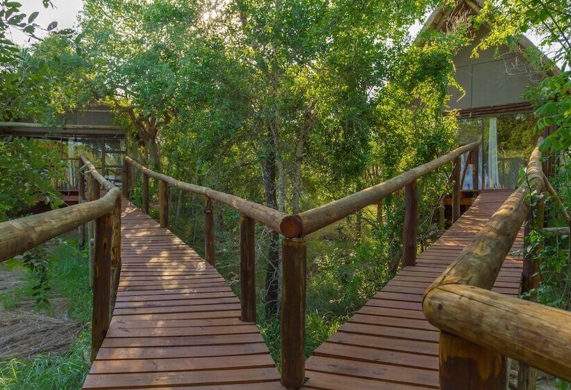 בית מלון כפרי Panzi Lodge