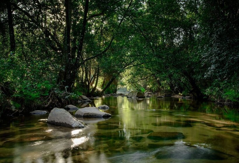 酒店 The Reserve Boutique