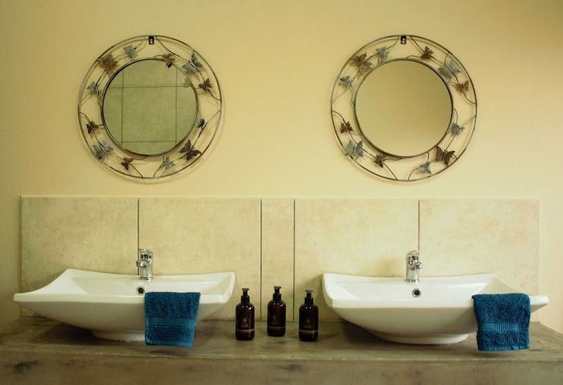 Пансион Asuite Dream