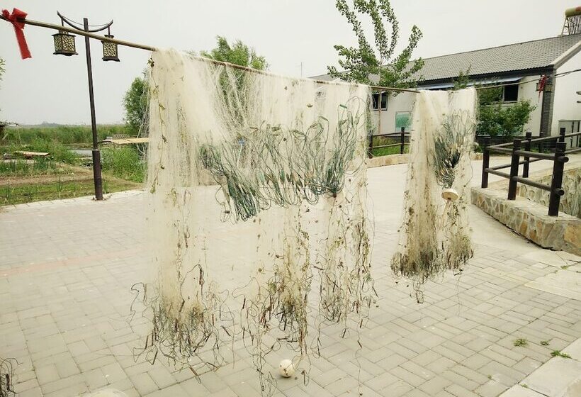 Pensió Baiyangdian Xinzhi Guesthouse