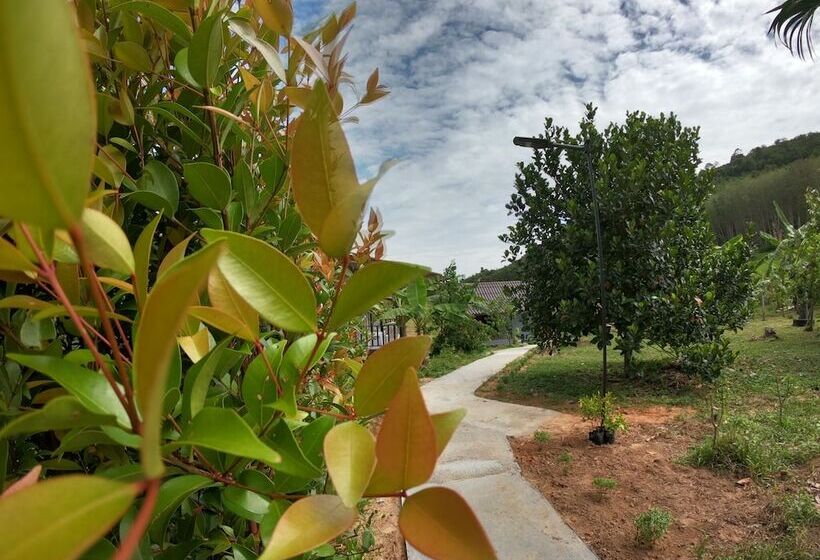 펜션 Green Mountain Resort Koh Yao