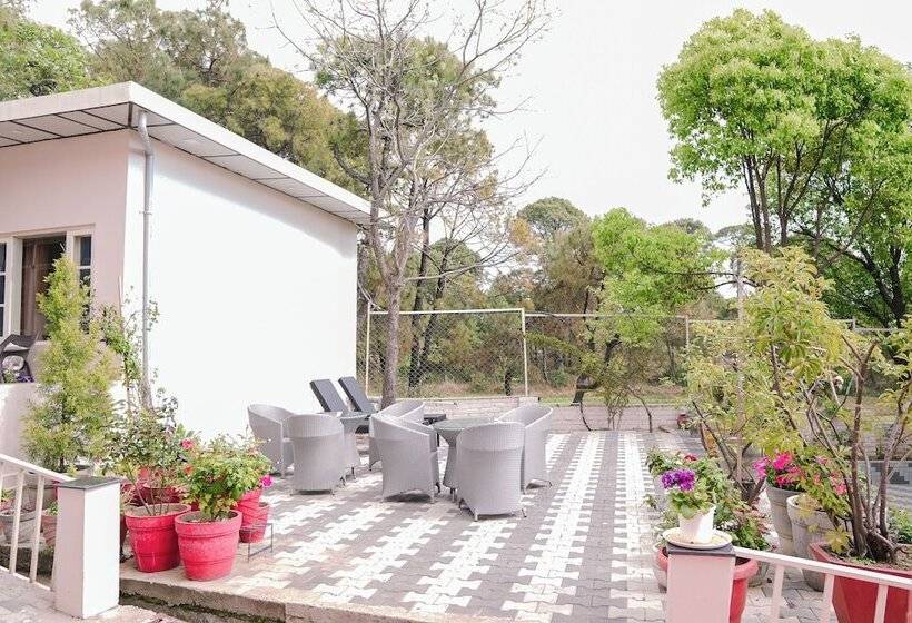 膳宿费 Ketav S Ayush Health Paradise