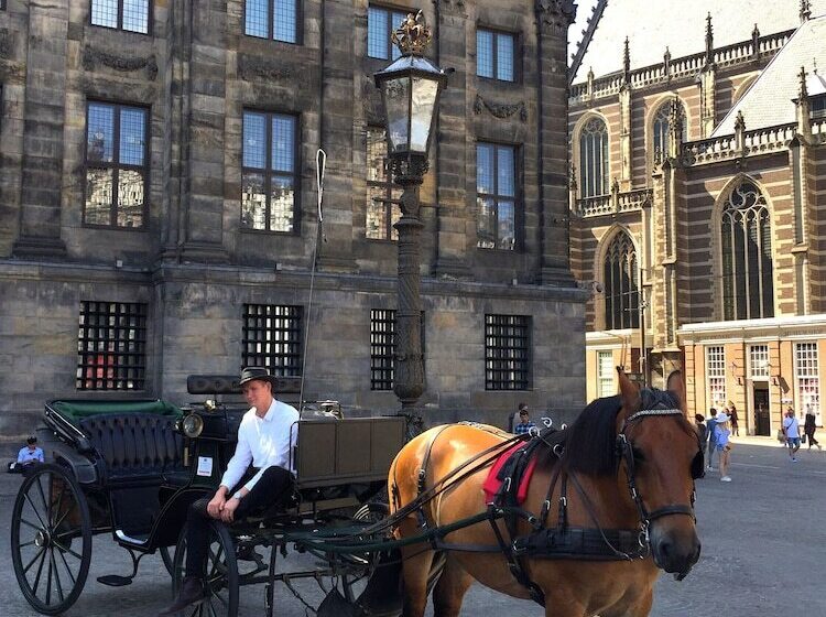 پانسیون Villa360