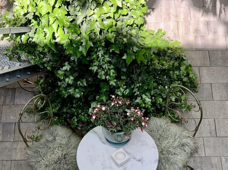 پانسیون Villa360