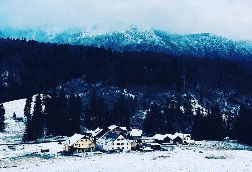 Pensiunea Poiana Cristian