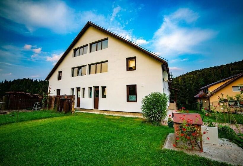 Pensiunea Poiana Cristian