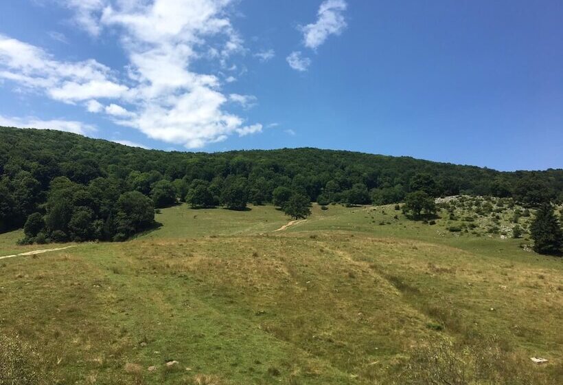 Pensiunea Poiana Cristian