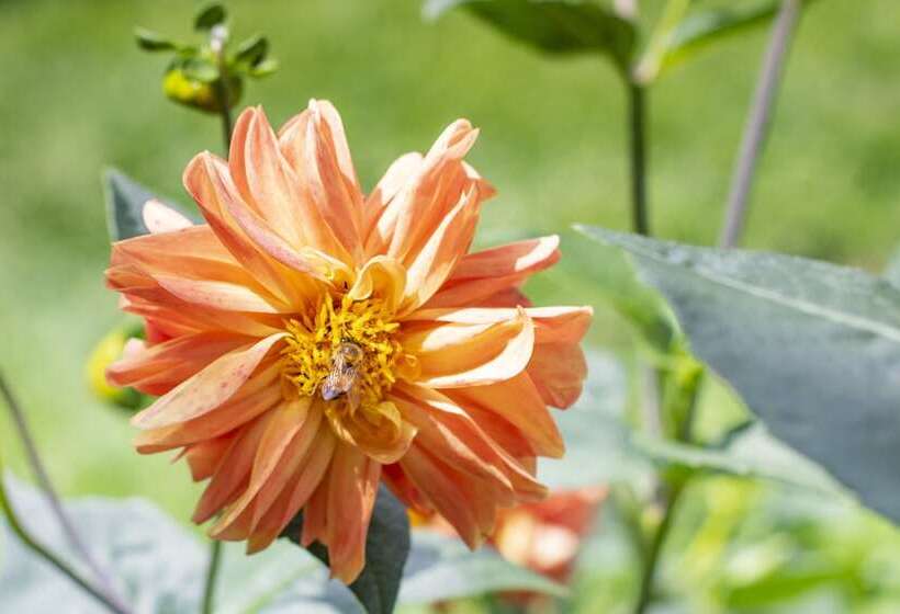 Tucurinca Hotel & Spa