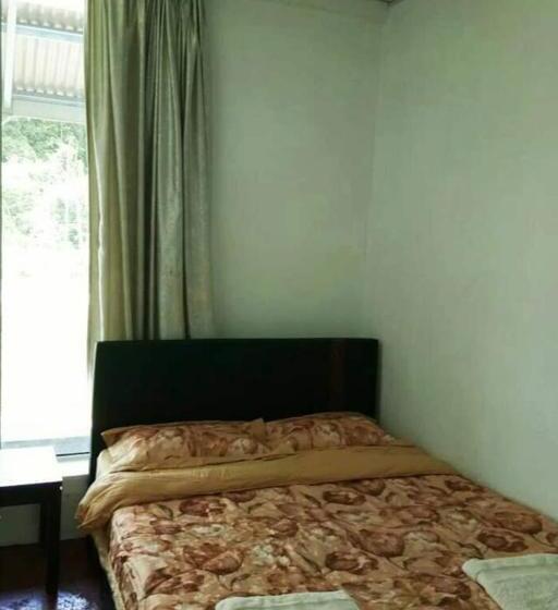 הוסטל Navita Lodge