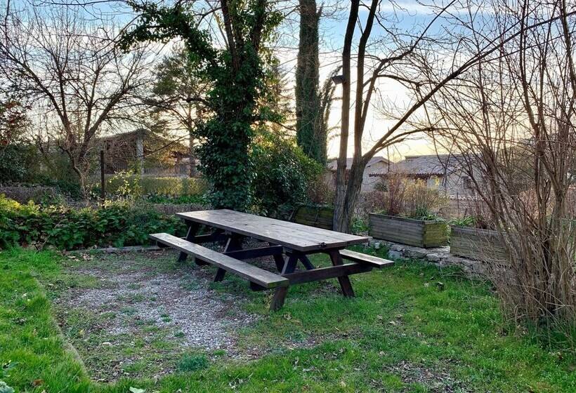 Apartaments Alzina