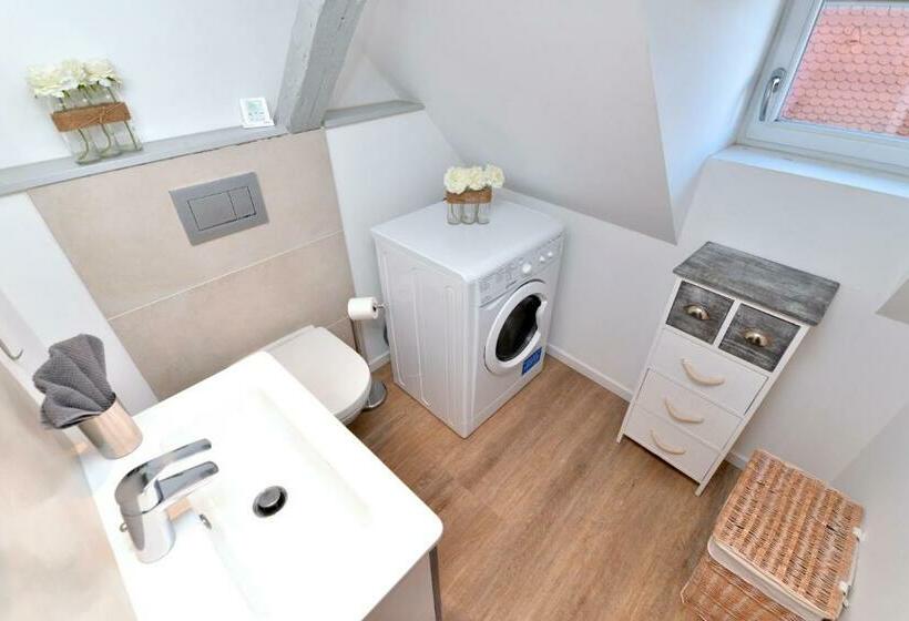 Appartement La Petite Terrasse Sur Les Toits