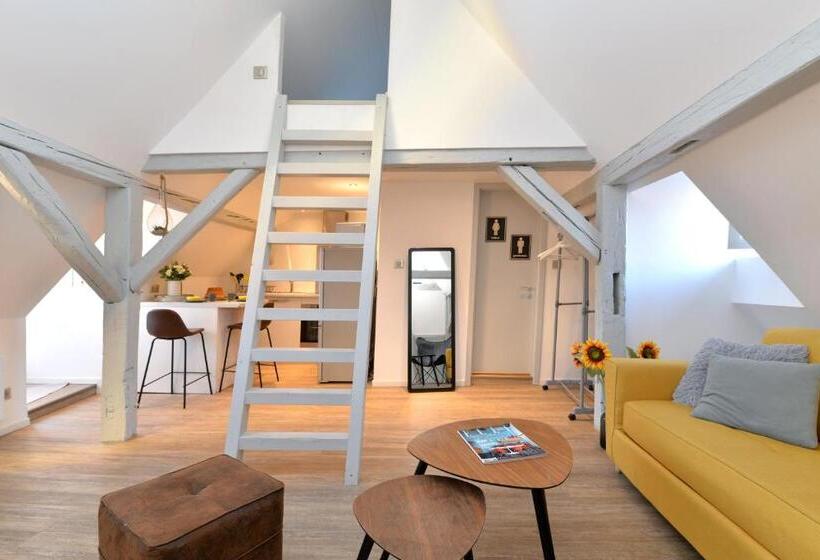 Appartement La Petite Terrasse Sur Les Toits