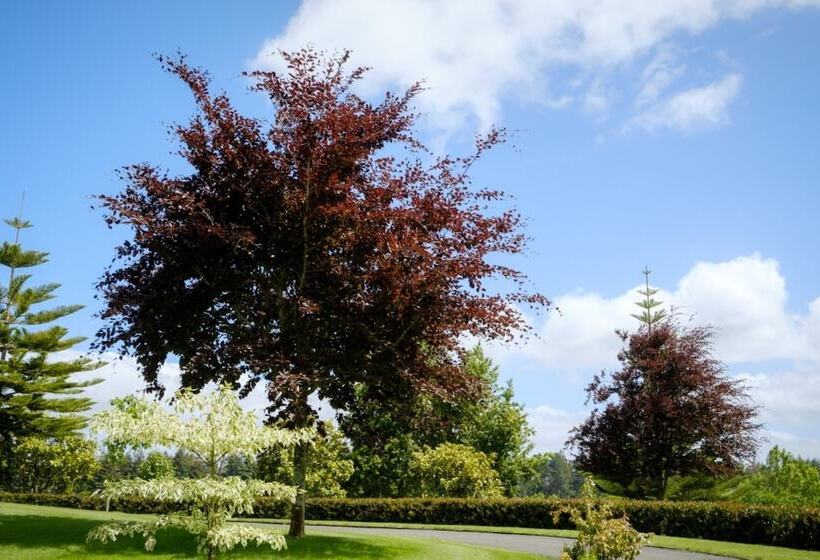 민박 Blackwood House