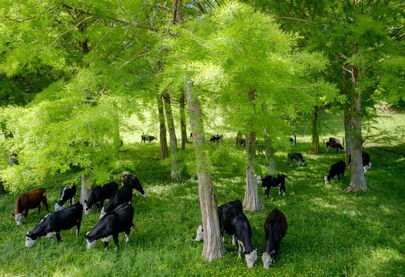 민박 Blackwood House