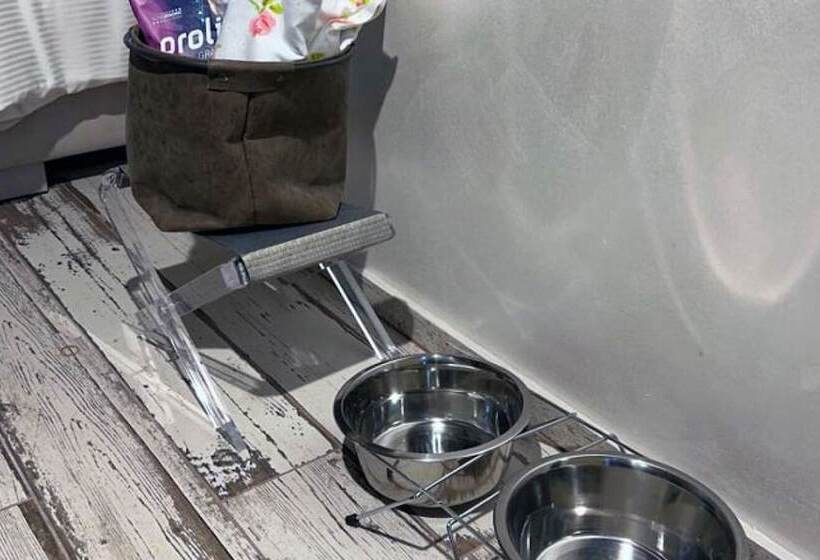 ベッドアンドブレックファースト Dimora Storica Lo Svevo