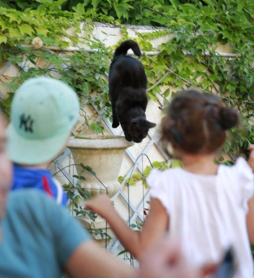 住宿加早餐  La Maison Charmante