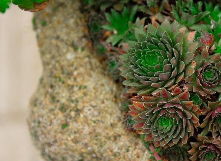 住宿加早餐  La Maison Charmante