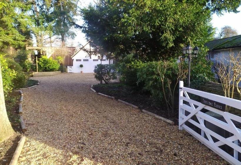 צימר Thatched Eaves