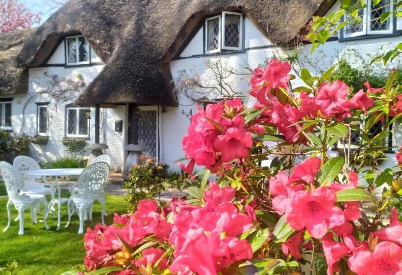 צימר Thatched Eaves