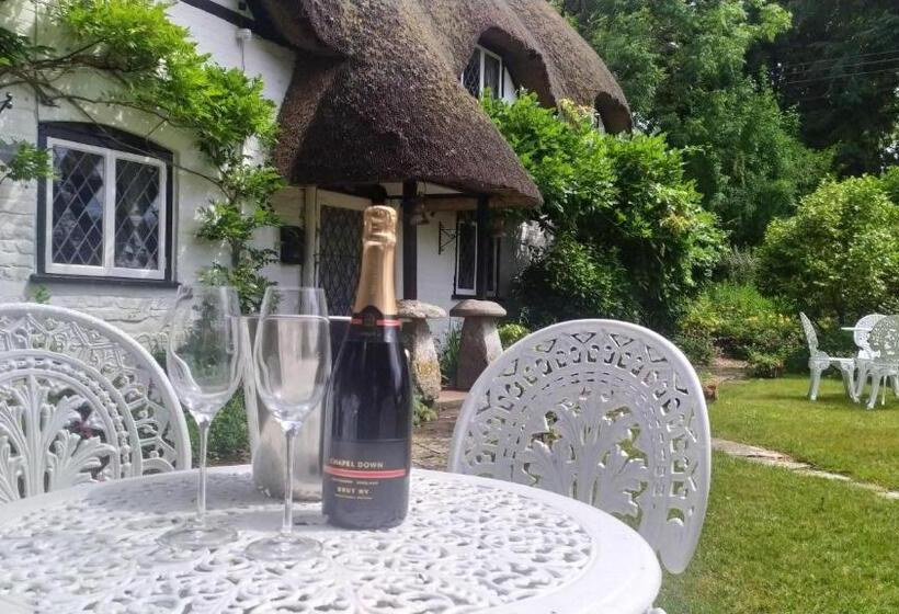 צימר Thatched Eaves