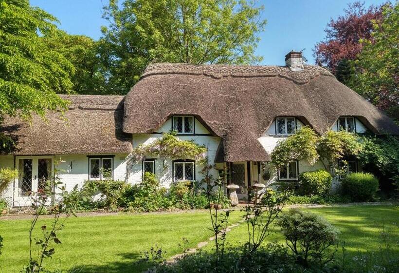 צימר Thatched Eaves