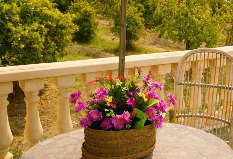 Casas Rurales Delfos