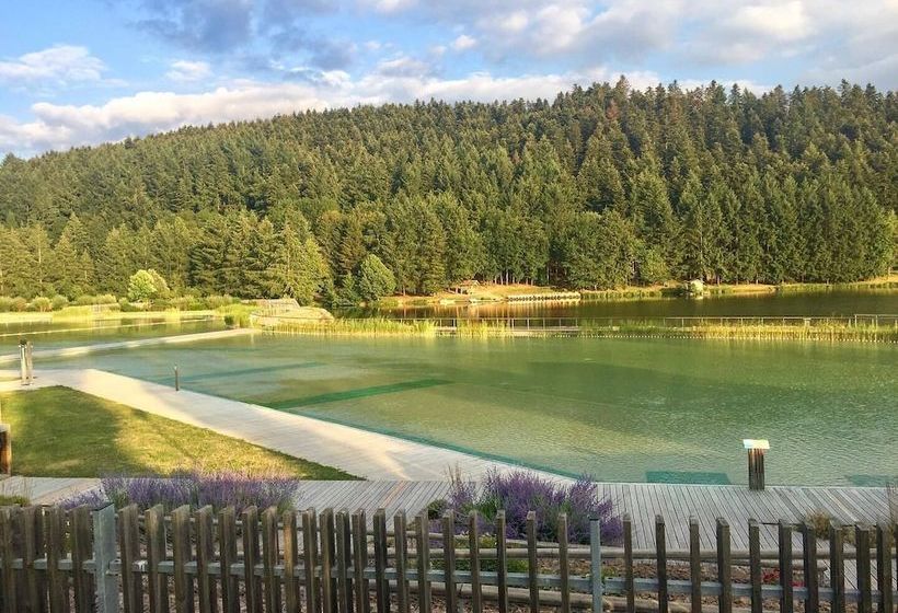 Chateau De Laforest Quidam