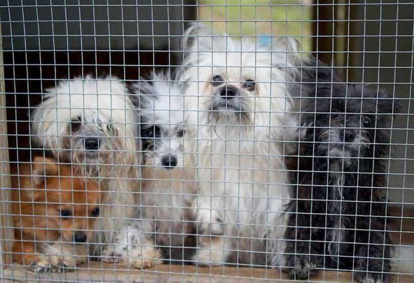 Evergreen Apartments