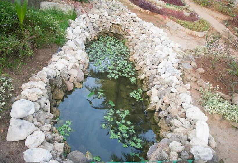 Evergreen Apartments