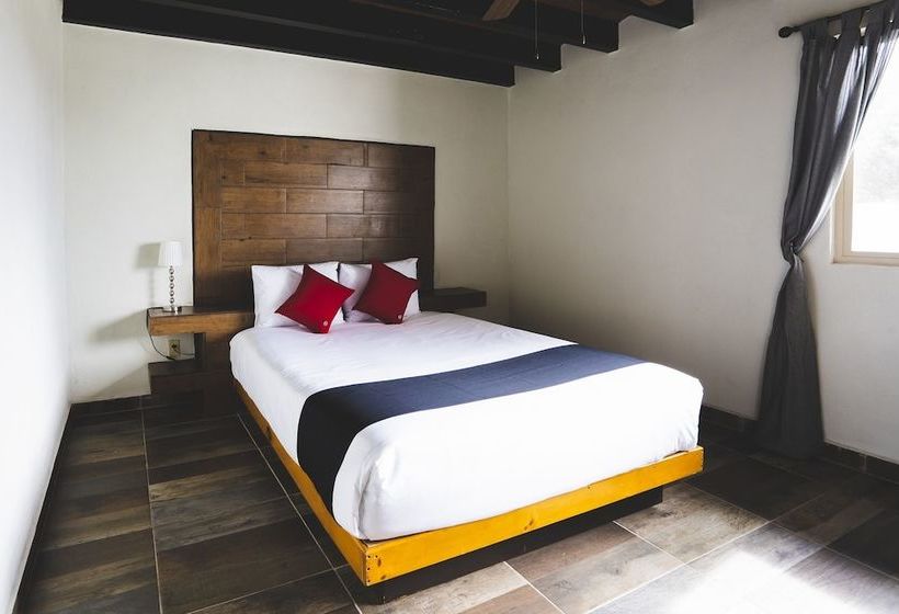 فندق Capital O Posada Del Mar