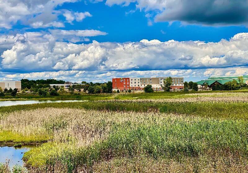 בית מלון כפרי Holiday Inn Express & Suites Chicago   Hoffman Estates, An Ihg