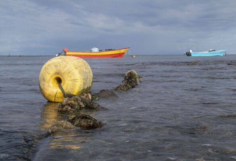 酒店 Villas Cabuya Beach & Forest