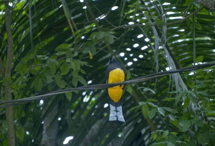 酒店 Villas Cabuya Beach & Forest