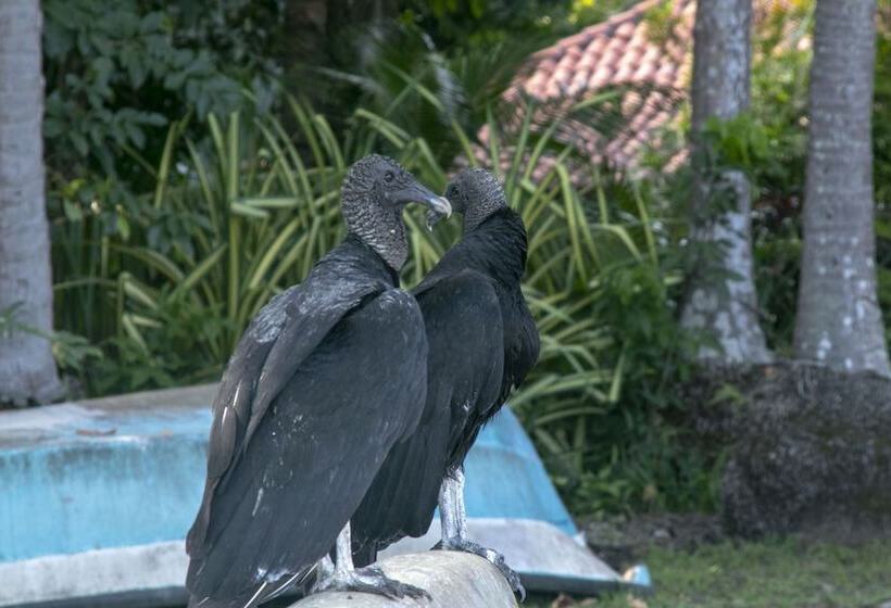 酒店 Villas Cabuya Beach & Forest