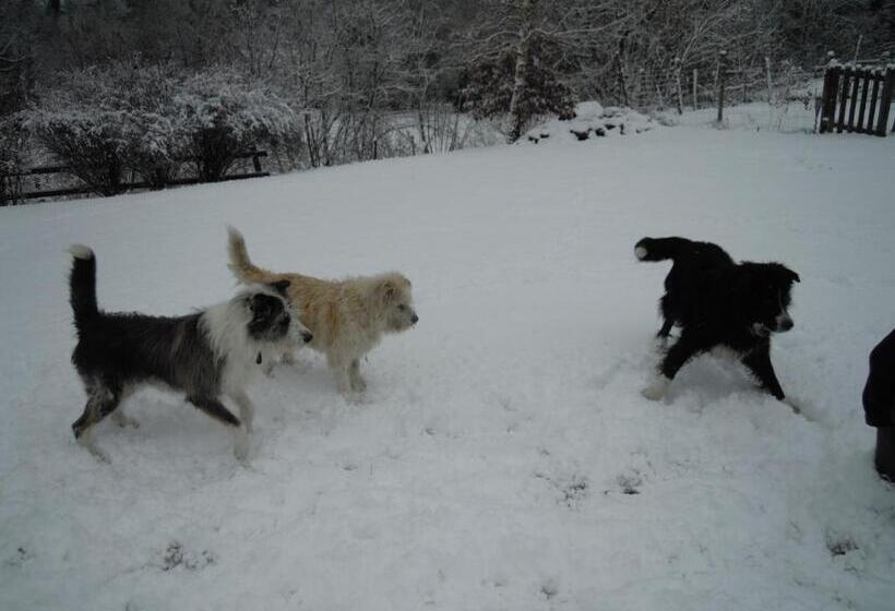 Пансион La Grande Ourse