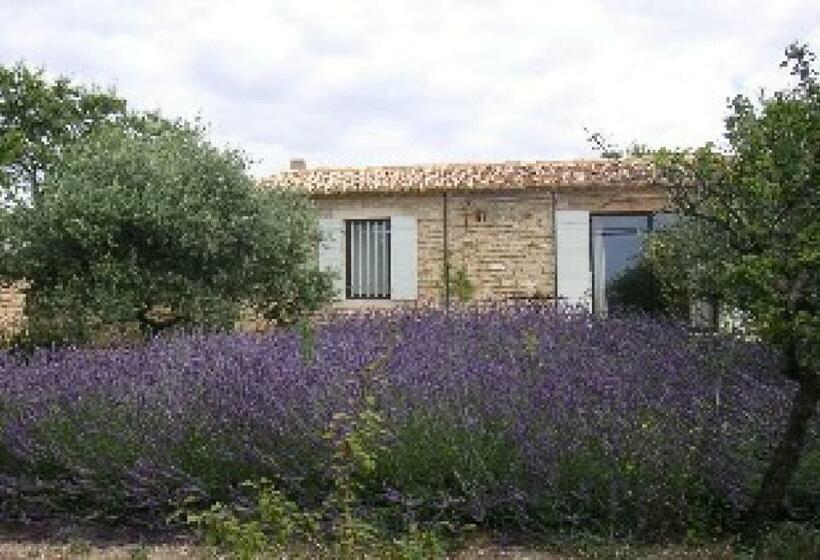 פנסיון Le Jardin D Adam