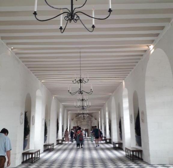 بنسيون Les Hirondelles