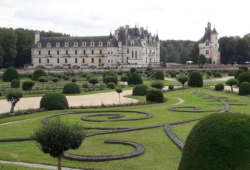 بنسيون Les Hirondelles