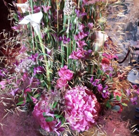 פנסיון Les Hirondelles