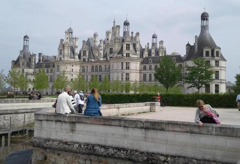 بنسيون Les Hirondelles