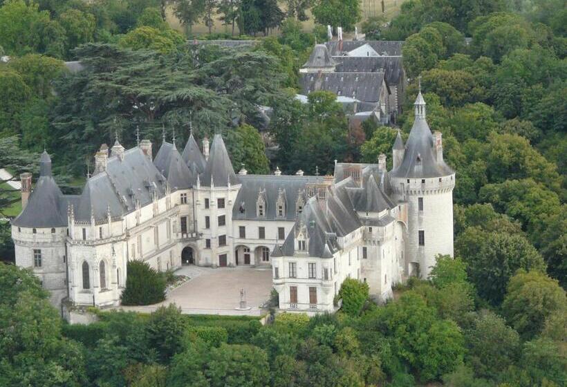 بنسيون Les Hirondelles