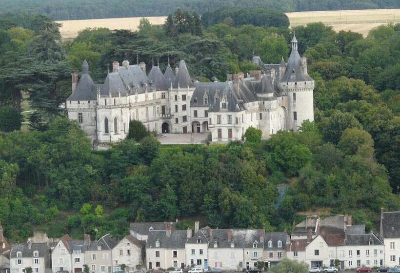 بنسيون Les Hirondelles