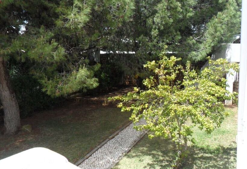 T3 Sra Da Rocha By Casas & Papéis