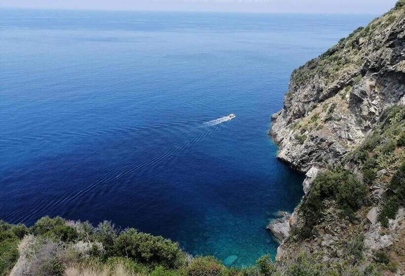 تختخواب و صبحانه Eneide