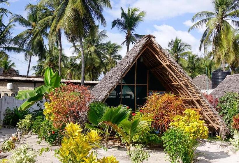 Отель Paje Beach Bandas