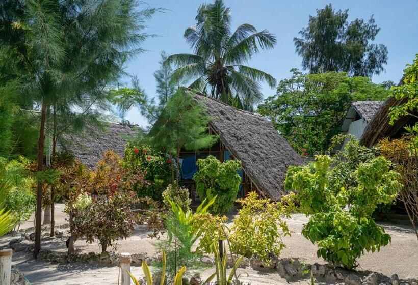 Отель Paje Beach Bandas