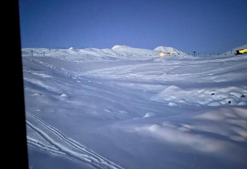 پانسیون Gudauri Hillsite