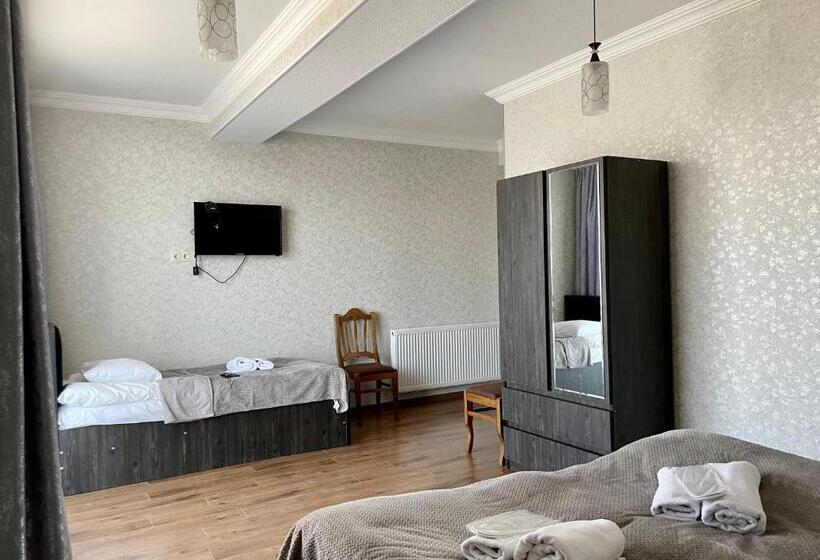 پانسیون Gudauri Hillsite